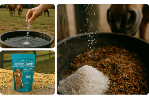 The Original Salt Company Celtic Sea Salt Mineral-Rich Hydration for Horses
