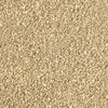 Oil-Dri Premium Absorbent